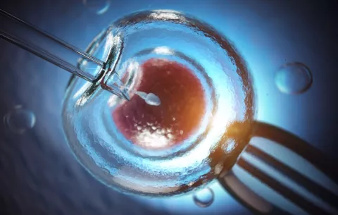Japón aprueba la creación de embriones humanos utilizando células iPS para investigación