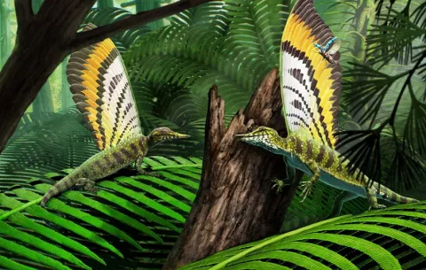 Un reptil del Triásico con cresta dorsal desafía la teoría evolutiva de estos animales
