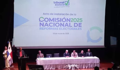 Tribunal Electoral aboga por dar más fondos a independientes