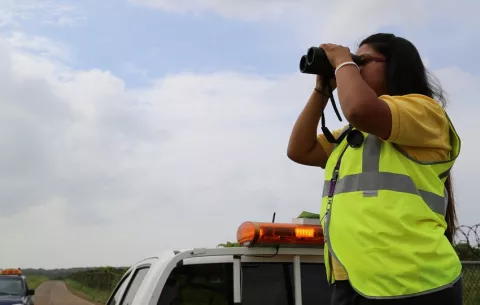 Aeropuerto Internacional de Tocumen emite alerta preventiva por temporada de aves migratorias