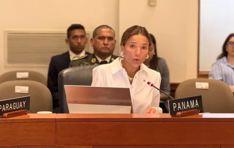 Ana Irene Delgado asume la presidencia de la Comisión de Seguridad Hemisférica de la OEA
