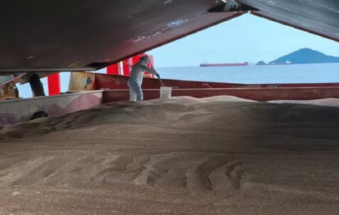 Inspeccionan buque con cargamento de trigo para prevenir ingreso de plagas