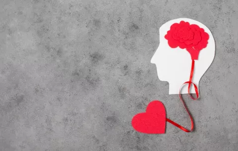 Una red dinámica que une mente y cuerpo