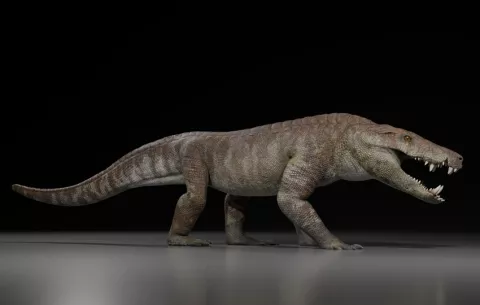 El nuevo 'hipercarnívoro' de la Patagonia, pariente del cocodrilo, pesaba 250 kilogramos
