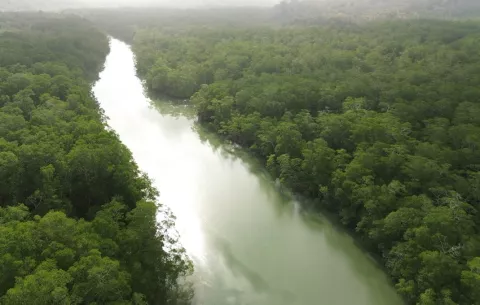 Proyecto de MiAmbiente en Darién beneficiará a 3,990 moradores