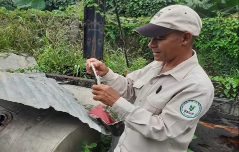 Dengue: 2025 registra 13 defunciones
