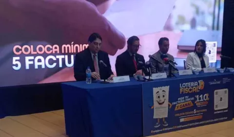 ¿Cómo espera el Gobierno obtener sus ingresos el próximo año?