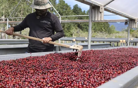 Aclaran a productor nacional cómo es el acuerdo Panamá - Mercosur
