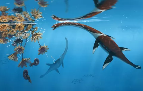 Descubren una nueva especie de reptil marino en los yacimientos del 'Jurásico' alemán