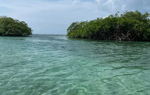Venas Azules es un rincón por descubrir en Portobelo