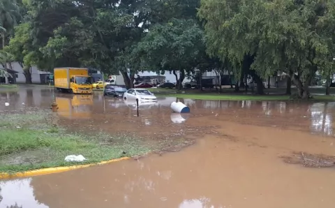 Colapsos de estructuras y caídas de árboles dejan las lluvias en el país