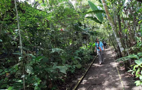 Lanzan un proyecto para potenciar el ecoturismo en zonas rurales con bajo empleo en Panamá