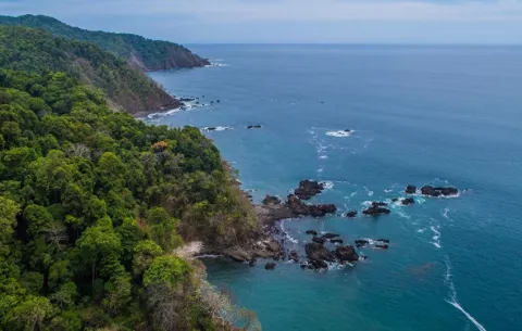 Panamá presentó ante la Asamblea de la ONU dos apuestas para proteger la biodiversidad