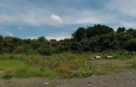 Niño de seis años muere en Veraguas por posible cuadro de parásitos