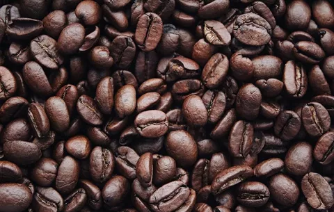 Empresa de Dubái recoge 20 kilos de café de lujo que compró en Panamá por 600,000 dólares