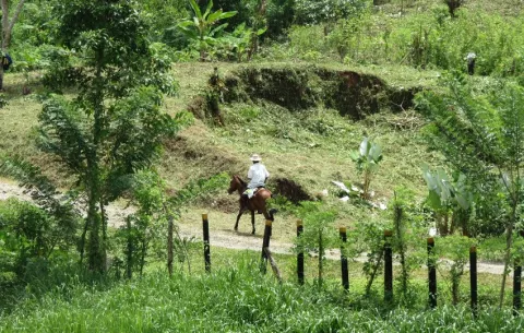 Capira insistirá en una estación del tren Panamá-David-Fronteras