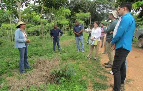 Representantes de Coflac visitan modelo de reforestación sostenible en Darién