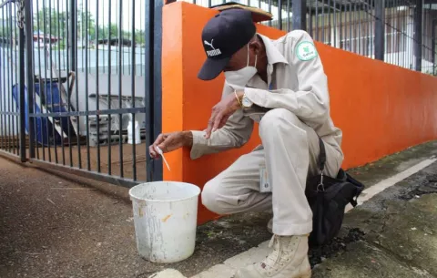 En Chiriquí las autoridades de salud indican que hay más de 600 casos de dengue