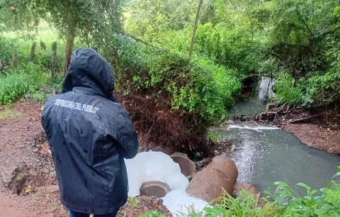 Defensoría del Pueblo abre queja de oficio por posible contaminación de quebrada en Herrera