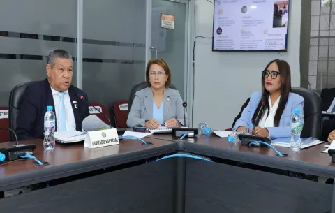 TAFP desaparecería con la aprobación de la ley de carrera administrativa