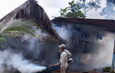 Adolescente pierde la vida en Bahía Honda por posible dengue hemorrágico