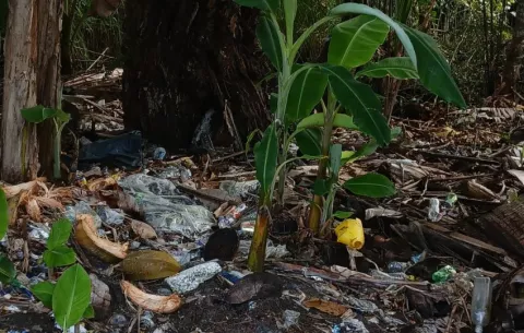 MiAmbiente ordena cierre temporal del área protegida Isla Escudo de Veraguas-Degó 