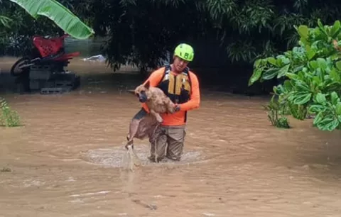 Más de 140 viviendas afectadas en Los Santos por las intensas lluvias