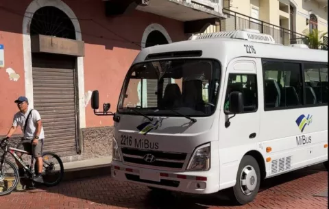 Seis empresas presentan ofertas para la adquisición de 60 buses medianos de MiBus