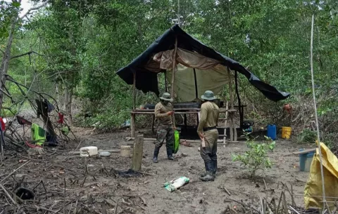 Desmantelan un campamento ilegal en manglares de Chame