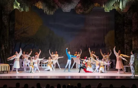 ‘El Lago de los Cisnes’, en una función benéfica