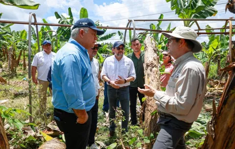 Tras refrendo, Gobierno se alista para instalar la mesa técnica que reactivará la industria bananera en Bocas del Toro