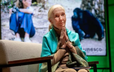 Netflix publica una entrevista póstuma de la etnóloga Jane Goodall