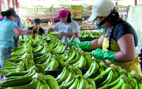 El sector exportador prevé un crecimiento del 1% hacia finales de año
