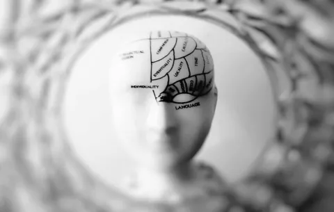 El cerebro pasa por 5 fases en la vida, que cambian a los 9, 32, 66 y 83 años
