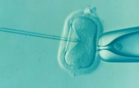 Desaparecen cientos de embriones tras el cierre de una clínica de fertilidad en Bosnia