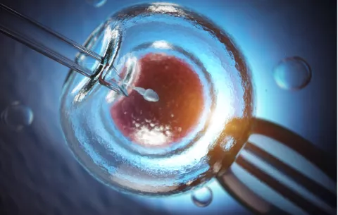Logran un embarazo con un método que recupera esperma con Inteligencia Artificial