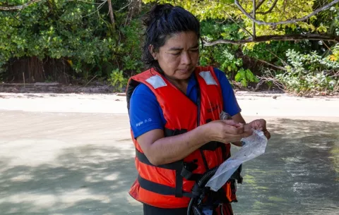 Nueva especie de pez fosilizado hallado en Panamá lleva el nombre de la investigadora ngäbe Brígida de Gracia