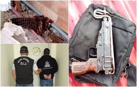 Incautación de una subametralladora, drogas y hasta rescates de un ave, comunica la Policía Nacional