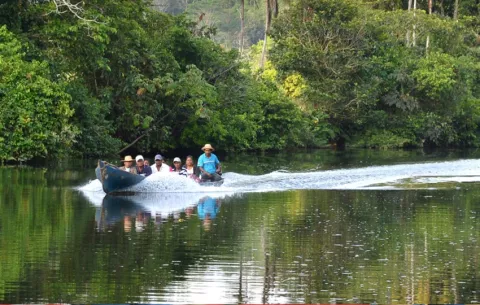 Río Indio: ¿Cómo será el proceso de rescate y reubicación de la fauna de la zona?