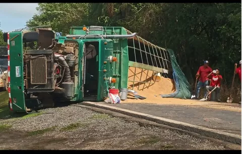 Camión cargado con 400 quintales de arroz se vuelca y bloquea vía a Mariato