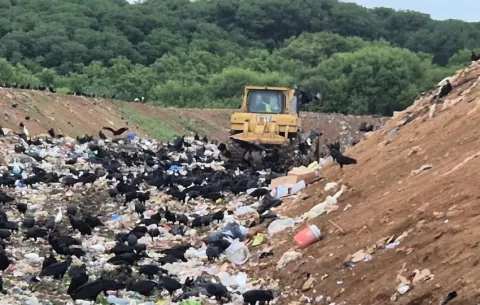 Autoridades inspeccionan vertederos en Azuero y declaran cierre del de Pocrí