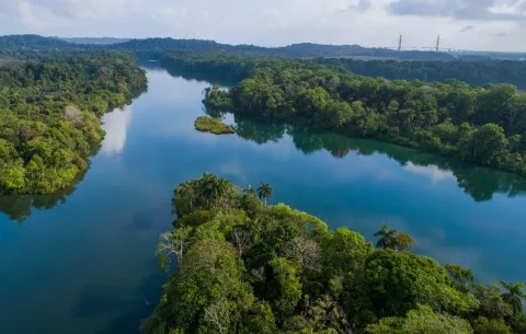 Crean unidad especializada para contrarrestar delitos ambientales 