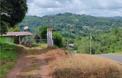 Moradores Santa Rosa, Capira esperan la pronta llegada de la luz eléctrica