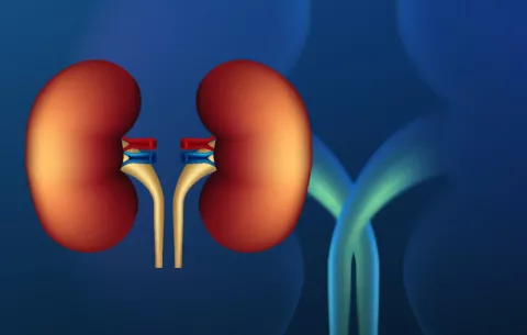 Diabetes, una de las principales causas de enfermedad crónica renal