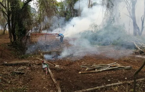 MiAmbiente intenta reducir riego de IMAVE en áreas protegidas