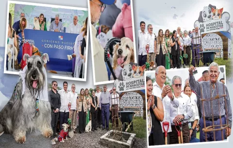 El Hospital de Mascotas abrirá sus puertas en 2027