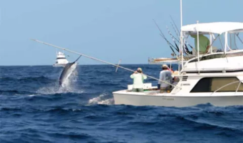 La pesca deportiva sería  regulada en Panamá