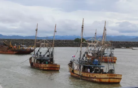 Empleo: 700 plazas de trabajo con nueva planta de pelado de camarones en puerto de Vacamonte