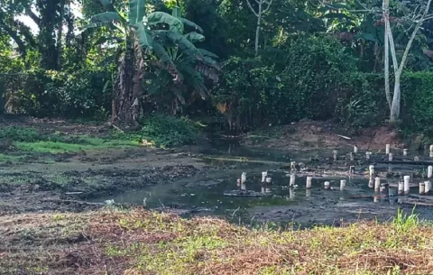 Quejas por colapso del alcantarillado en Villa Marina, Atalaya
