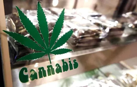 Abre la primera farmacia especializada en cannabis medicinal